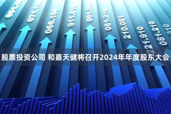 股票投资公司 和嘉天健将召开2024年年度股东大会