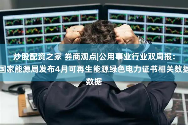 炒股配资之家 券商观点|公用事业行业双周报：国家能源局发布4月可再生能源绿色电力证书相关数据